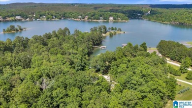 Smith Lake water front lake home with 2 lots located in Stoney - photo 16