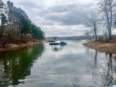 Smith Lake water front lake home with 2 lots located in Stoney - photo 19