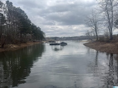 Smith Lake water front lake home with 2 lots located in Stoney - photo 20
