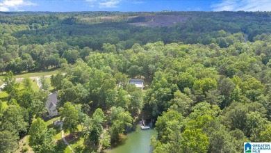 Smith Lake water front lake home with 2 lots located in Stoney - photo 21