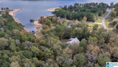 Smith Lake water front lake home with 2 lots located in Stoney - photo 24