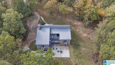 Smith Lake water front lake home with 2 lots located in Stoney - photo 25
