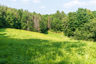 Hunting Paradise on Star Lake in Hayward, WI - photo 27