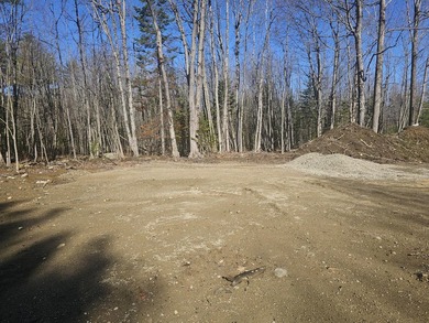 Awesome location for your dream home! Seller has a building - photo 1