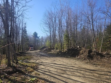 Awesome location for your dream home! Seller has a building - photo 2