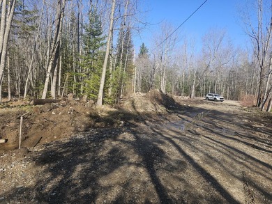 Awesome location for your dream home! Seller has a building - photo 3
