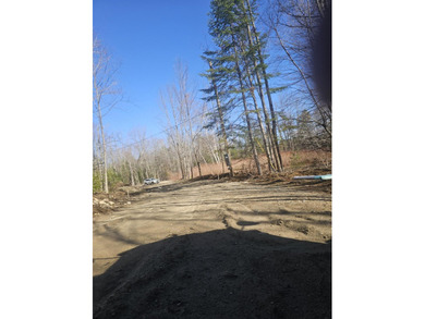 Awesome location for your dream home! Seller has a building - photo 4