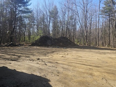 Awesome location for your dream home! Seller has a building - photo 5