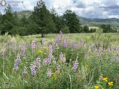 (private lake, pond, creek) Acreage For Sale in Westcliffe Colorado