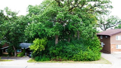 Prime opportunity awaits with this vacant parcel in beautiful - photo 3