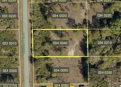 Lehigh Acres Area Lot For Sale in Lehigh Acres Florida