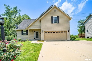 Lake Home For Sale in Mapleton, Illinois