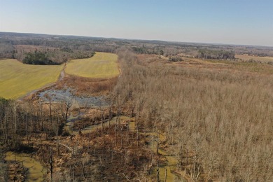 This property boasts 3.5 miles of river frontage on the Little - photo 11