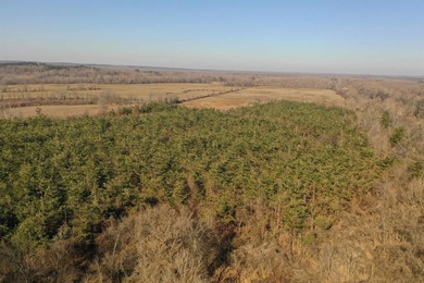 This property boasts 3.5 miles of river frontage on the Little - photo 12