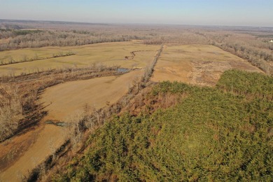 This property boasts 3.5 miles of river frontage on the Little - photo 15