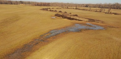 This property boasts 3.5 miles of river frontage on the Little - photo 25
