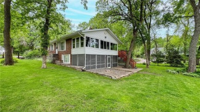 Lake Home For Sale in Clear Lake Twp, Minnesota