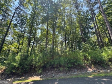 Lake Lot For Sale in Ellijay, Georgia