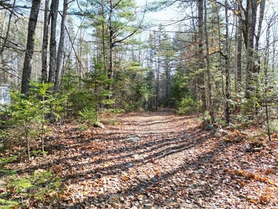 A rare opportunity on James Way in Lincoln, Maine--offering Lots - photo 3