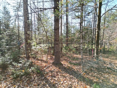 A rare opportunity on James Way in Lincoln, Maine--offering Lots - photo 4