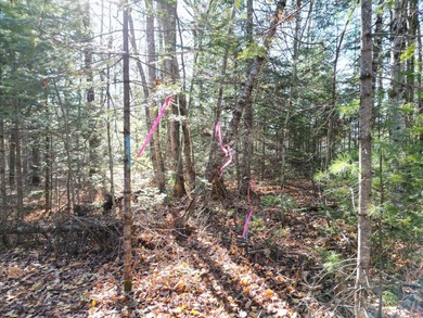 A rare opportunity on James Way in Lincoln, Maine--offering Lots - photo 5