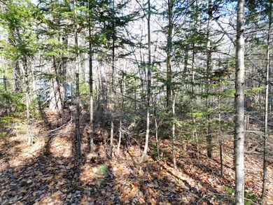A rare opportunity on James Way in Lincoln, Maine--offering Lots - photo 6