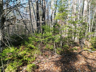 A rare opportunity on James Way in Lincoln, Maine--offering Lots - photo 7