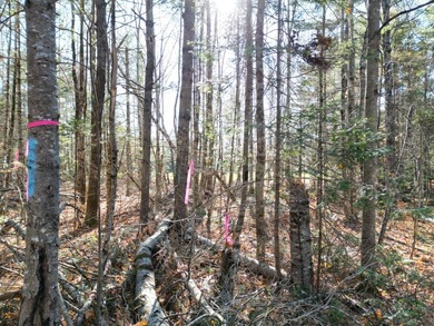 A rare opportunity on James Way in Lincoln, Maine--offering Lots - photo 8