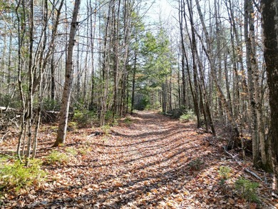 A rare opportunity on James Way in Lincoln, Maine--offering Lots - photo 9