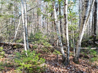 A rare opportunity on James Way in Lincoln, Maine--offering Lots - photo 10
