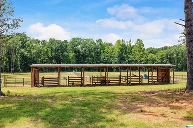 Welcome extraordinary 89.99-acre Shelby County horse farm where - photo 5