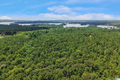 Welcome extraordinary 89.99-acre Shelby County horse farm where - photo 9
