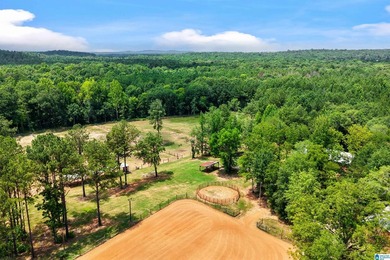 Welcome extraordinary 89.99-acre Shelby County horse farm where - photo 10