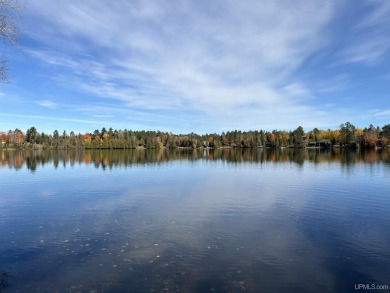 Keyes Lake Home Sale Pending in Florence T-WI Wisconsin