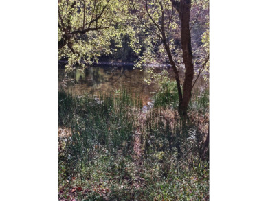 North Fork Holston River Acreage For Sale in Abingdon Virginia