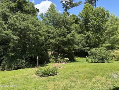 This house sits on .62 acre beautiful lot. Good size carport - photo 33
