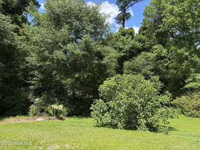 This house sits on .62 acre beautiful lot. Good size carport - photo 34
