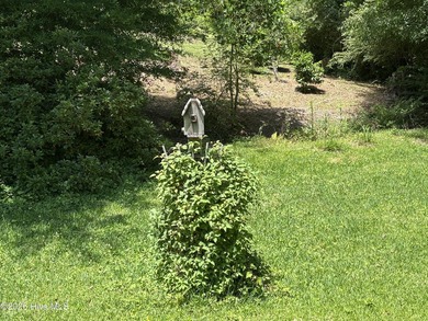 This house sits on .62 acre beautiful lot. Good size carport - photo 38