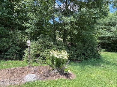 This house sits on .62 acre beautiful lot. Good size carport - photo 39