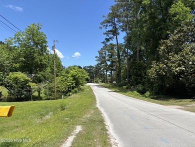 This house sits on .62 acre beautiful lot. Good size carport - photo 43