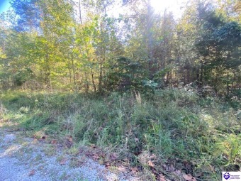 One of the very few lots in Riverbend Subdivision that can be - Lake Lot For Sale in Falls Of Rough, Kentucky
