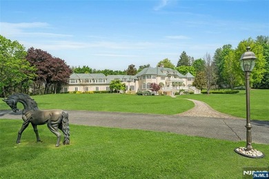 Presenting Mill Pond Estate- as you pass through the treed - photo 36