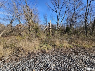 Lake Acreage For Sale in Bonnie, Illinois