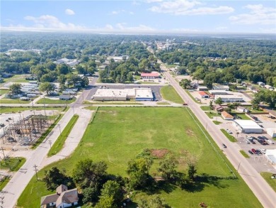 Truman Lake Commercial For Sale in Clinton Missouri