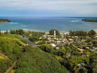 One of the best locations in Hanalei. Set in the quiet - photo 27