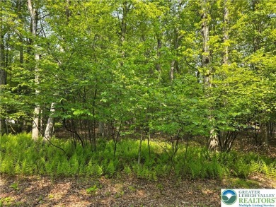 Lake Lot For Sale in Penn Forest Township, Pennsylvania