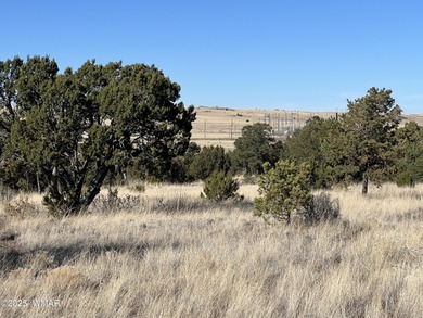 (private lake, pond, creek) Lot For Sale in Eagar Arizona