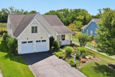 Lake Home For Sale in Antioch, Illinois