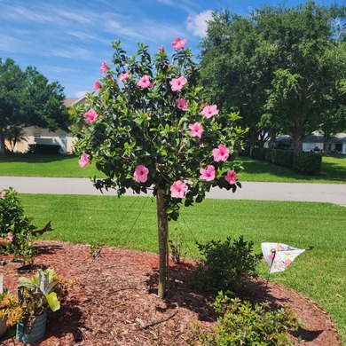 Motivated seller! This spacious 3 bedrooms, 2.5 bath is in an - photo 36