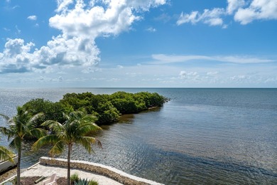 Oceanfront luxury living in Islamorada. Experience the ultimate - photo 46